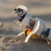 scientists develop automatic seed sowing robots on sandy soil 117170