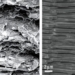 scientists develop type of glasses without frames inspired by infinity 116223