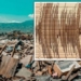 scientists warn about strong earthquake that could destroy earth 117183