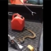 secret snake bite under the bell rings trigger attack on people 117726