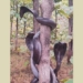 shock before the sight of three horned toads appearing on tree trunk 117233
