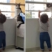 smart cat determined to avoid falling from the ladder 117051