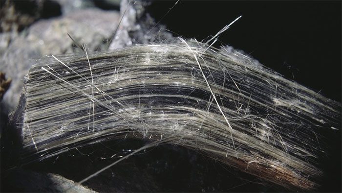 Asbestos fibers under a microscope.