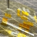 solar panel material 15 times thicker than paper 117824