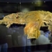 species extinct since 5000 years no one in canada 117673