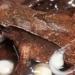 species of frog recently discovered is already extinct 117088