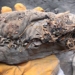 student discovers object like fetal mummified baby expert answers surprisingly 117426