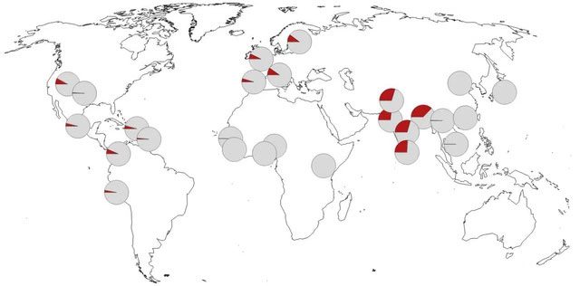 Distribution of the detrimental haplotype on chromosome 3