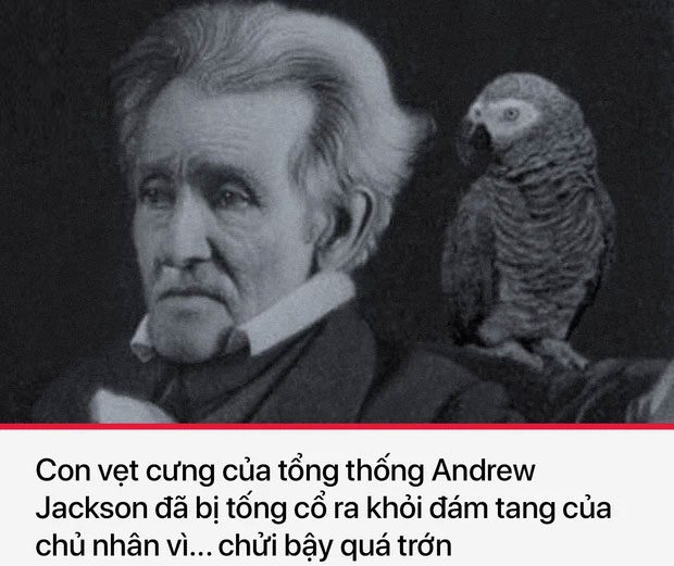 su that lich su kho tin