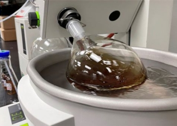 successful whiskey distillation in laboratory 117938
