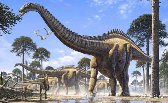 A Supersaurus could be 3.5 times longer than a Tyrannosaurus.