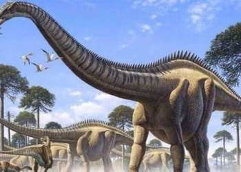 surprised by a monster from ancient history meeting a t rex 3 times 117141
