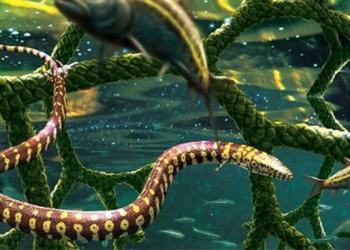 surprised by the four legged snake appearing 110 million years ago 117320