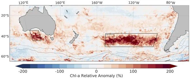 Two algae blooms in the Pacific Ocean appeared after the devastating wildfires in Australia.