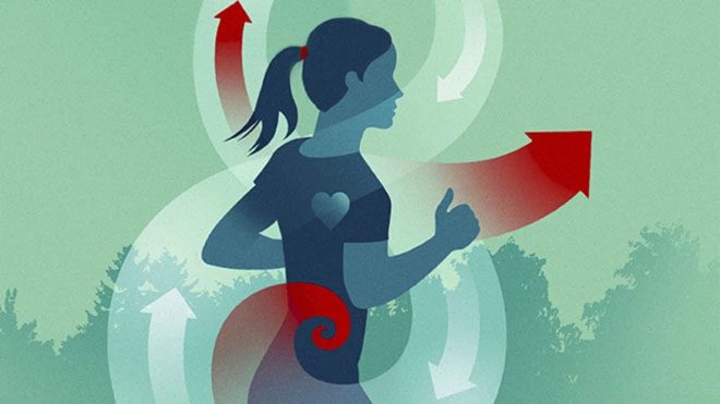 You need to gradually increase your workout intensity and stick to a "diet" plan to lose weight effectively.