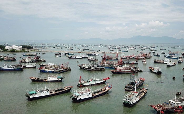 China has the largest fishing fleet in the world