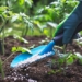 technology development speed up ingredient fertilizer animal feed 117211