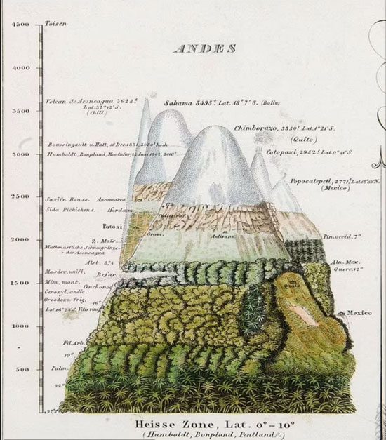 Ecosystems Changing with Altitude Promote Evolution