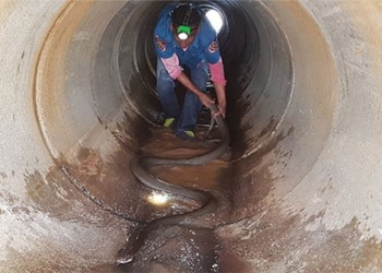 the dangerous man crawling into the tube inside is a creature that can kill an elephant 117550
