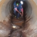 the dangerous man crawling into the tube inside is a creature that can kill an elephant 117550