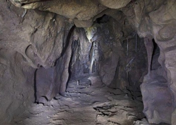 the final secret of neanderthals before extinction 116286