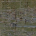 the frog is suddenly struck by a ball from below can it escape death 116960