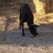 the heroic farmer saves the expert with a phone call and an unexpected ending 117222