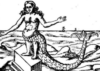 the horror stories few people know about the mermaid 117070