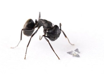 the importance of using silica gel to monitor humidity in the environment 116161