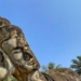 the legendary ruins of a sorceress with a hellish cave 115643