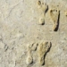 the long legged woman from north america found in new mexico