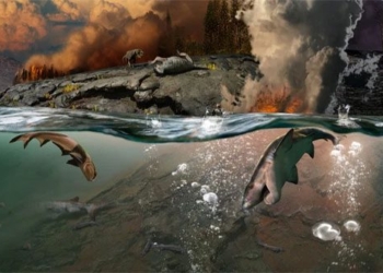 the period of the most severe global restrictions is also the time when the earth is the most polluted 117920