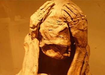 the phenomenon of dreams that makes experts terrified of the mysterious rebirth 117258