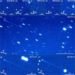 the planet is an unexpected rogue planet living below 116390