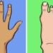 the reason fingernails grow faster than toenails 55776