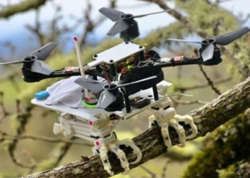 the robot with miraculous legs of the bird that can peck on the branch of the bending tree 117529