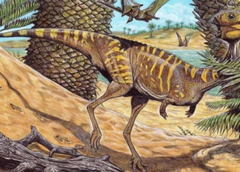 the scientists discover the rare mineral of toothless dinosaurs 117226