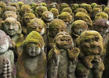 the secret of thousands of stone columns covered with velvet reveals everything about the emotional connection 116811