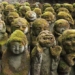 the secret of thousands of stone columns covered with velvet reveals everything about the emotional connection 116811