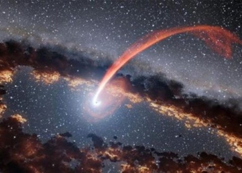 the shocking death encounter between the greedy black lamp and the unlucky star 116047