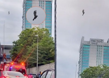 the sky is cloudy causing public curiosity the reason is 117158