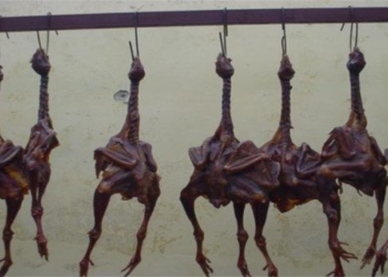 the story of the dish you want to eat is the acceptance of a tibetan person 77117