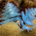 the strangest types of worms on earth 116189