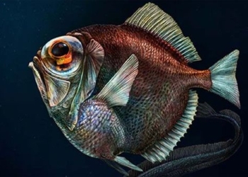 the truth is strange about the types of animals you may not know 115947