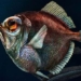 the truth is strange about the types of animals you may not know 115947