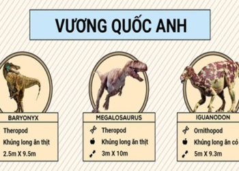 the types of dinosaurs that once dominated the continents 117204