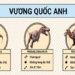 the types of dinosaurs that once dominated the continents 117204