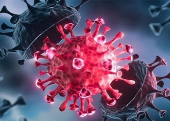 the variant appears like a year after the covid 19 pandemic how long will it last 117284