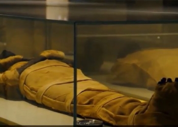 the video of my letter from the pharaoh thief over 3 000 years ago 117150