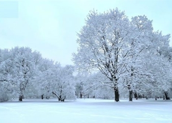 the winter moscow river dresses in a snowy coat 117736
